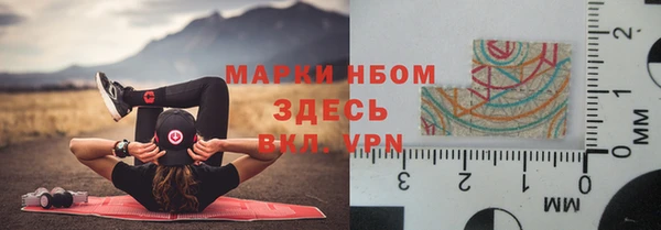 дурь Гусев
