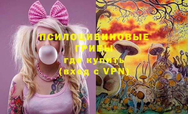 дурь Гусев