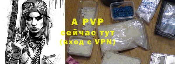 дурь Гусев