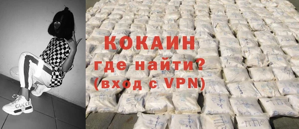 дурь Гусев