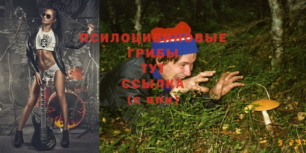 дурь Гусев