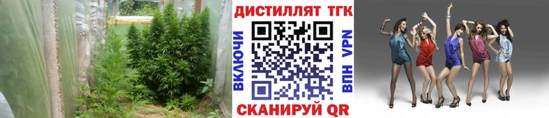 Купить где  Красноуфимск  ТГК THC oil 